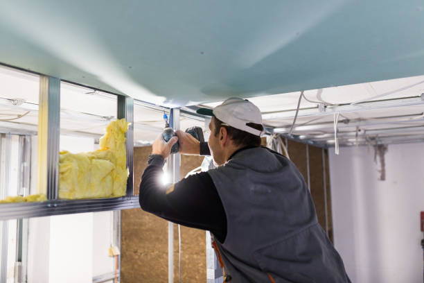 Types of Insulation We Offer in Ahuimanu, HI