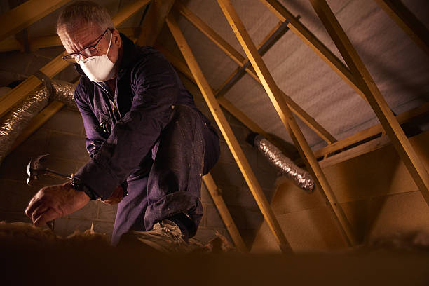 Best Fiberglass Insulation in Ahuimanu, HI