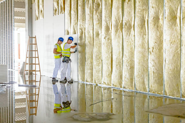 Best Blown-in Insulation in Ahuimanu, HI